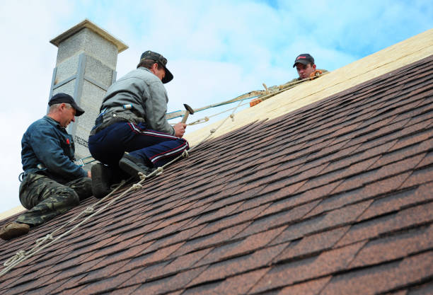 Best Metal Roofing Contractor  in Kenosha, WI